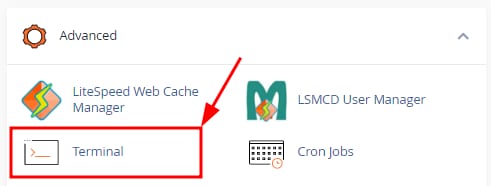 The cPanel Advanced tab showing how to access Terminal