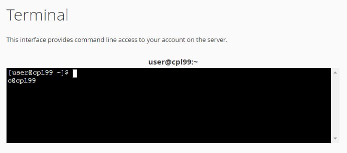 The cPanel Terminal showing a successful connection