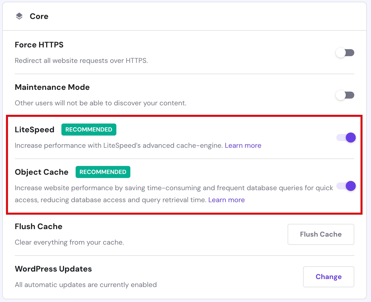 The WordPress Core section indicating the toggle to enable Object cache