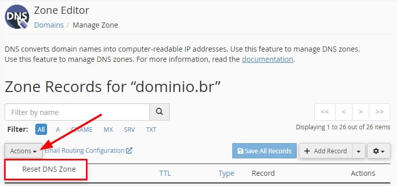 Resetting the domain's DNS zone in cPanel