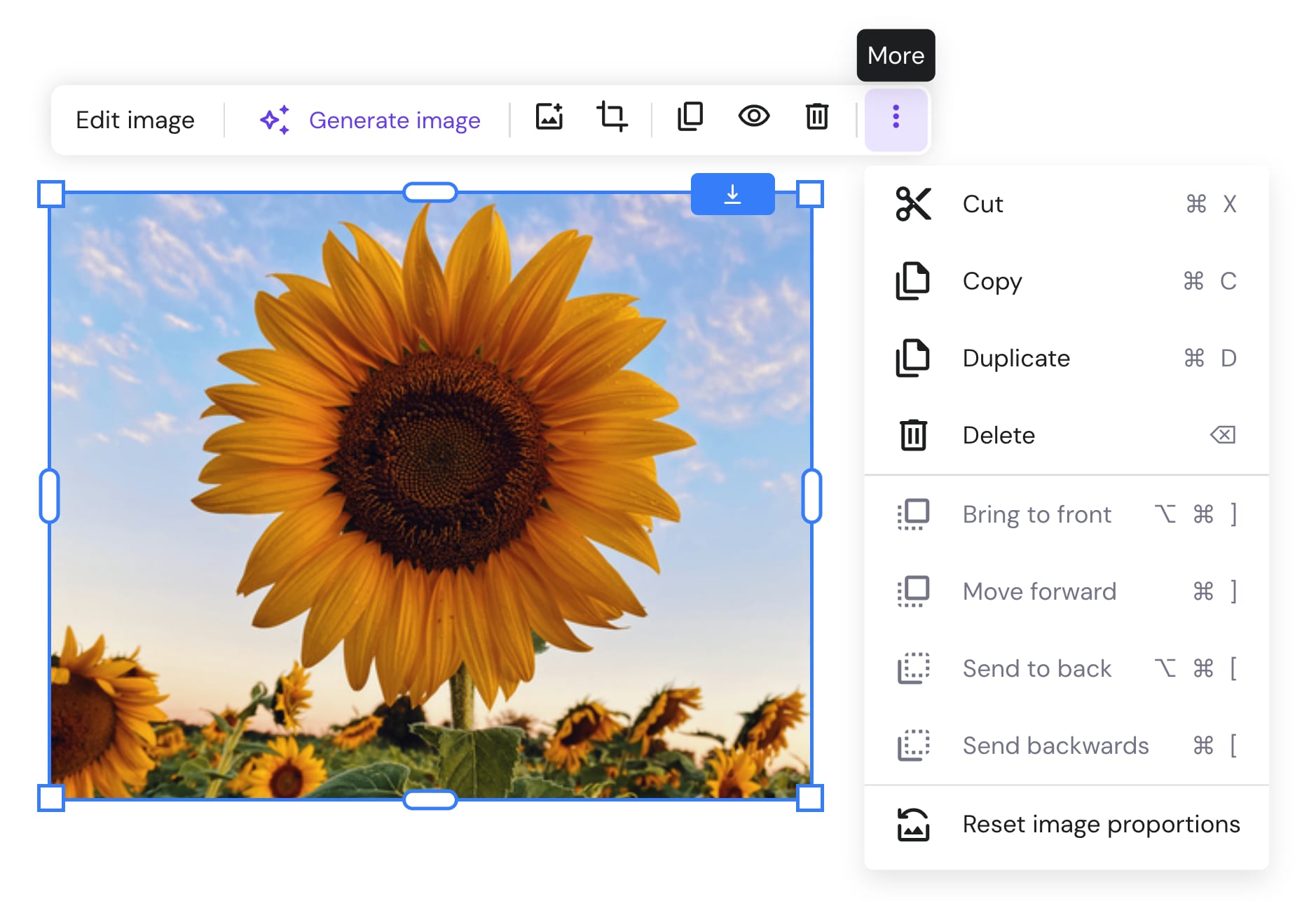 Image element editing options in Hostinger Website Builder
