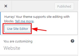 The WordPress Customize page showing the Use Site Editor button