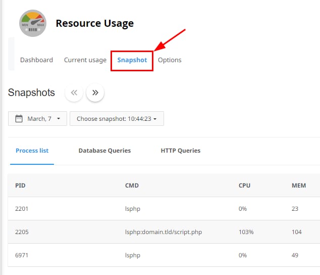 Example of resource usage snapshot