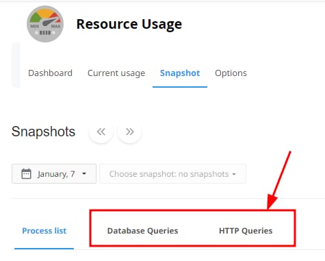 The Database Queries and HTTP Queries tabs on the Resource Usage page
