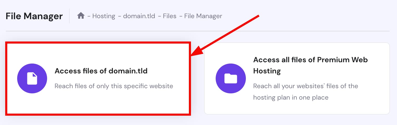 Accessing the file manager of a particular website
