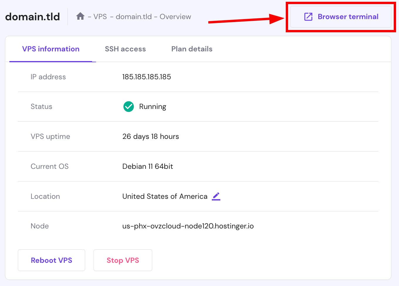 Accessing the browser terminal of the VPS