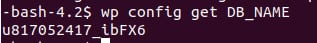 The output of the wp config get DB_NAME command