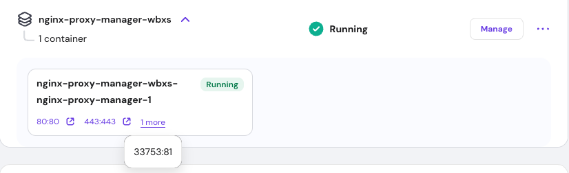 Nginx Proxy Manager in project list