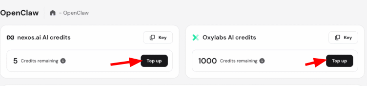 OpenClaw dashboard showing two AI credits cards, with the left card's Top up button highlighted