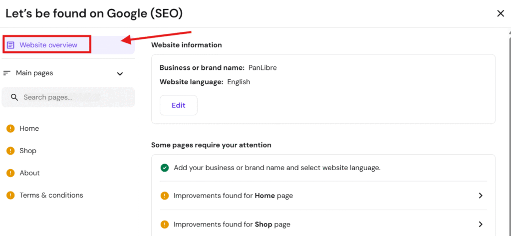 Google SEO setup page with Website overview tab selected in the left sidebar