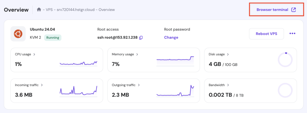 Built-in Browser Terminal in hPanel_s VPS management menu