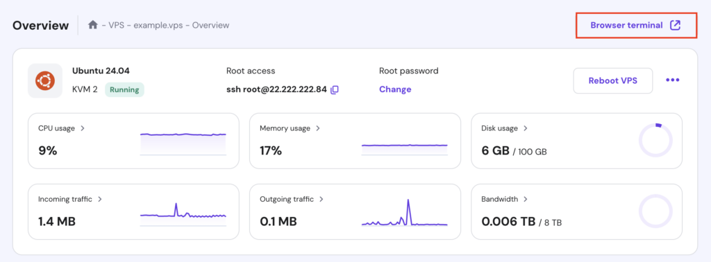 The Browser terminal button in VPS' Overview page of hPanel