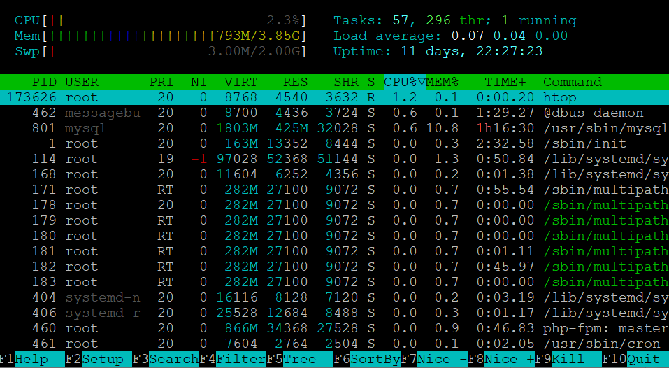 The htop user interface in Linux Terminal