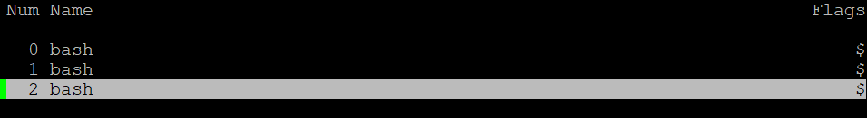 Terminal lists all the running Screen windows in a session