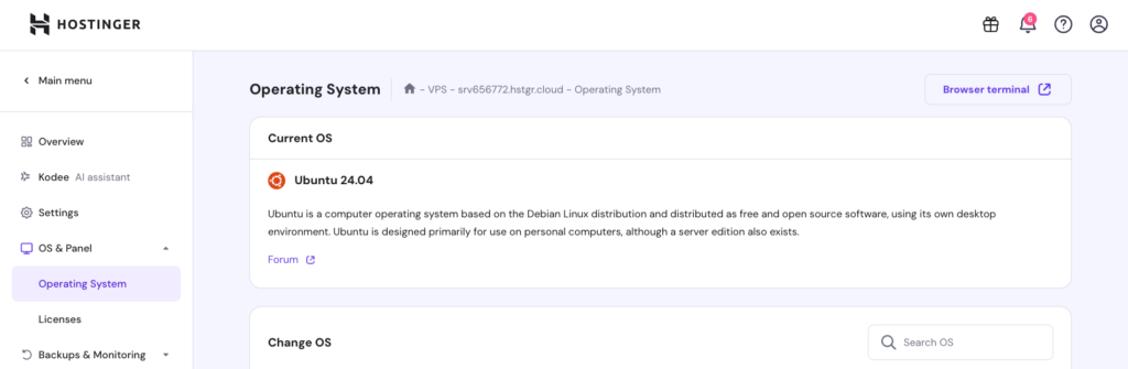 VPS operating system information in hPanel