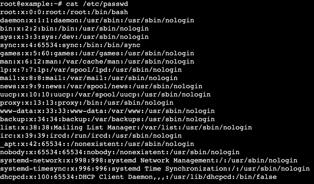 Terminal displaying cat /etc/passwd output with Linux user list
