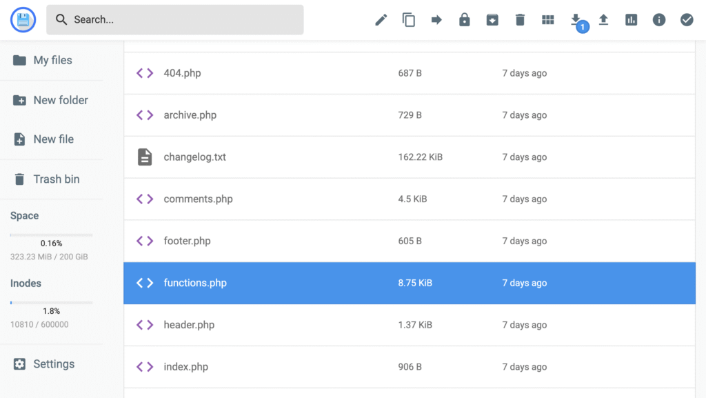 Hostinger File Manager with functions.php selected inside theme folder
