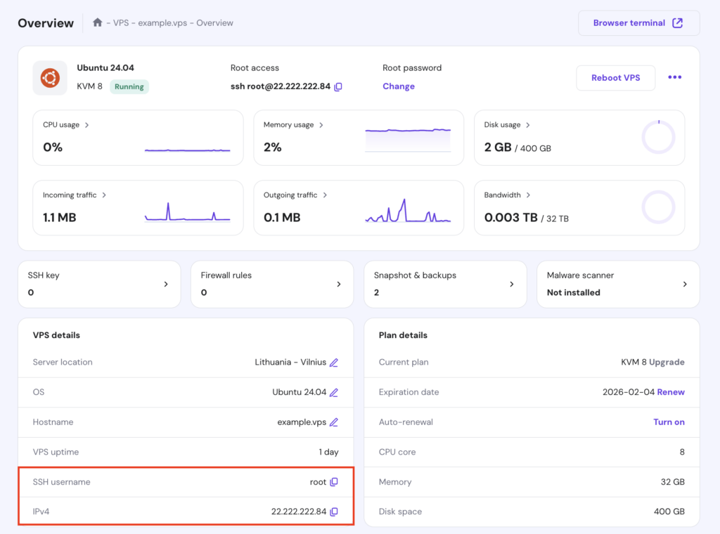 The VPS Overview page in hPanel