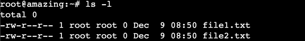 List of items and their permissions in Linux