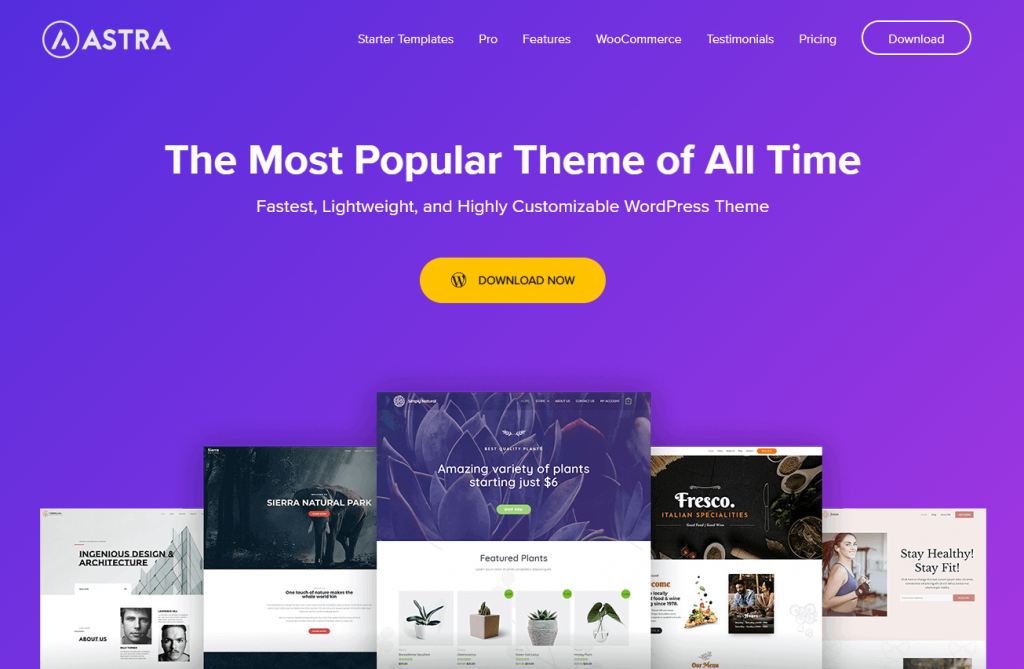 WordPress theme Astra