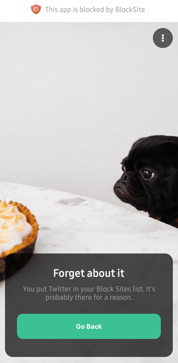 The BlockSite mobile block page
