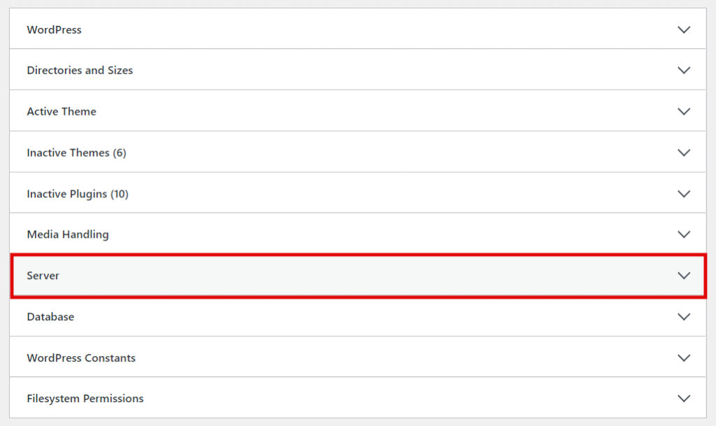 Choosing the info tab and clicking on Server. 
