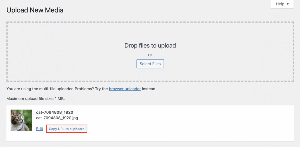 Copy URL to Clipboard button highlighted in WordPress Media page