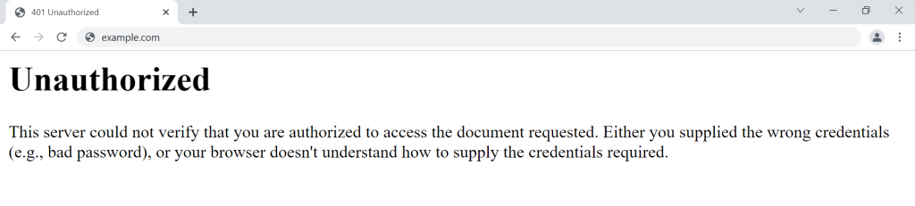 401 Unauthorized Error