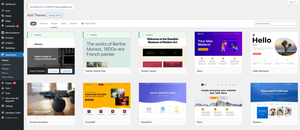 The official theme library accessed from the WordPress dashboard