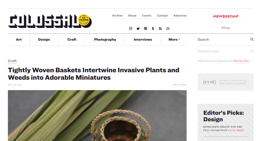 Screenshot of the Colossal website homepage The Colossal website homepage.