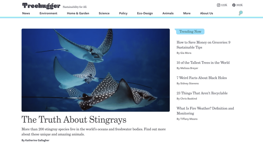 The Treehugger blog homepage