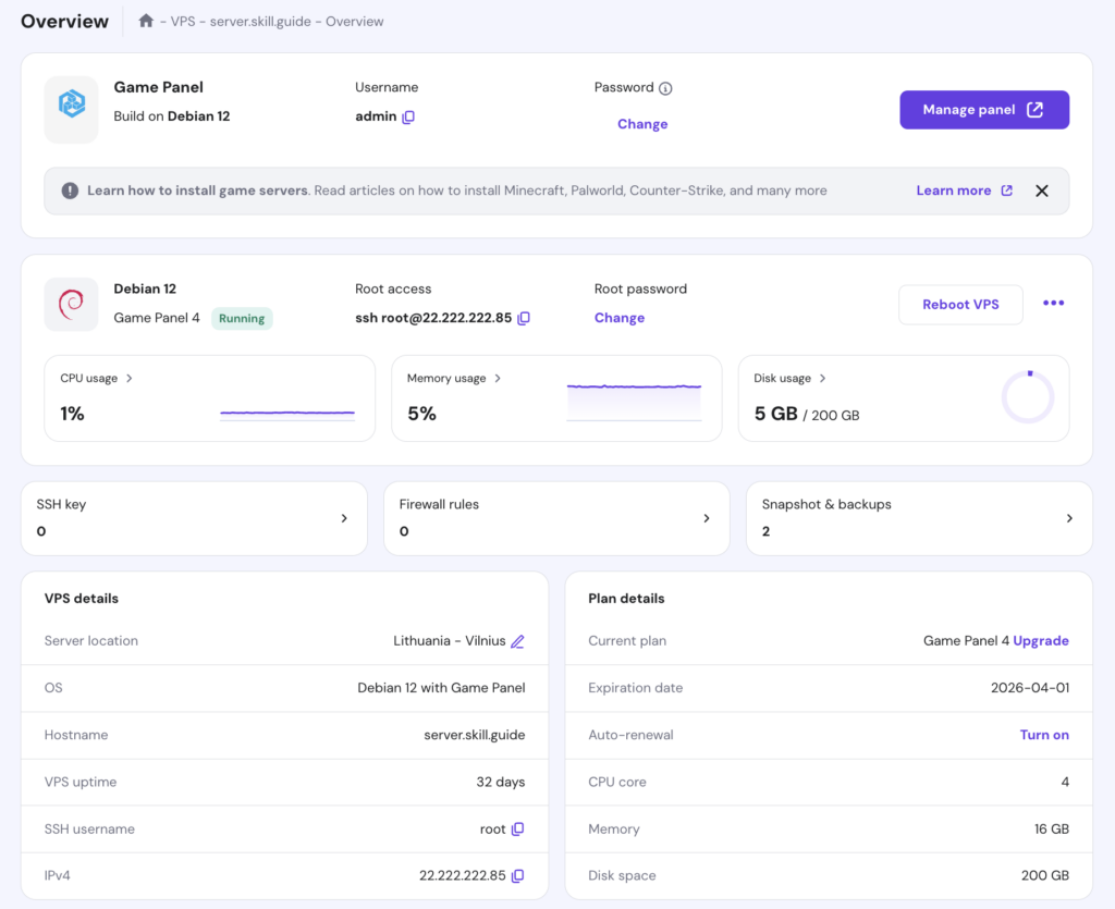 The Overview page in hPanel's VPS