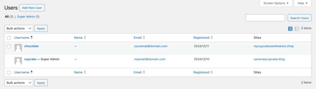 List of existing users displayed in WordPress Multisite dashboard