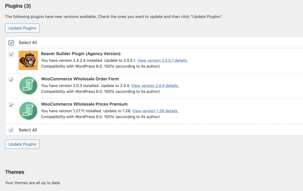 Updating WordPress plugins and themes