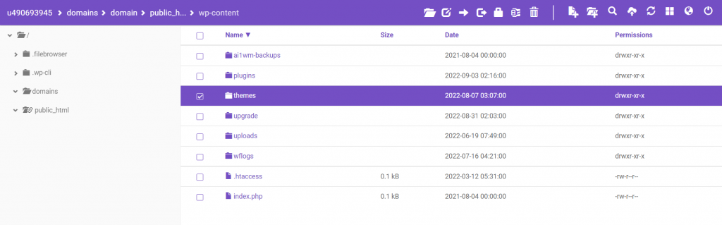 Locating the Themes folder inside the root directory