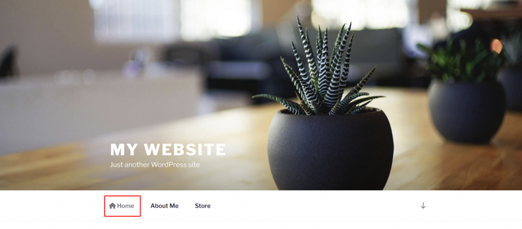 The navigation bar's appearance with an icon next to the Home menu