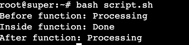 Terminal outputs different functions with local and global variables