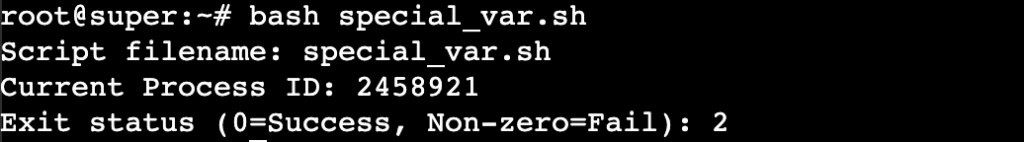 Terminal outputs special variable values