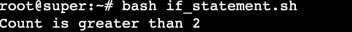 The output of a script combining an if statement with a bash variable