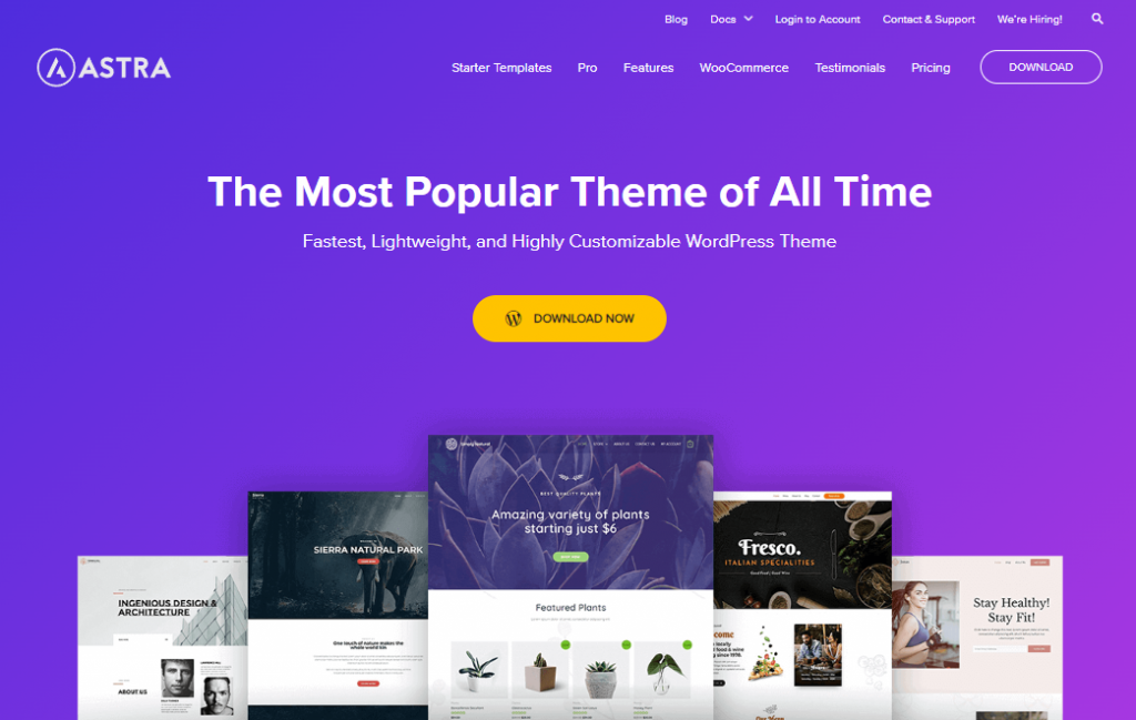 Astra theme homepage