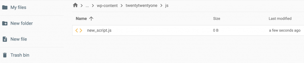 Newly created .js file in the theme's folder