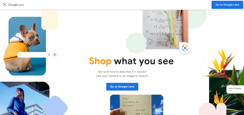 The homepage of Google Lens, a visual search engine.