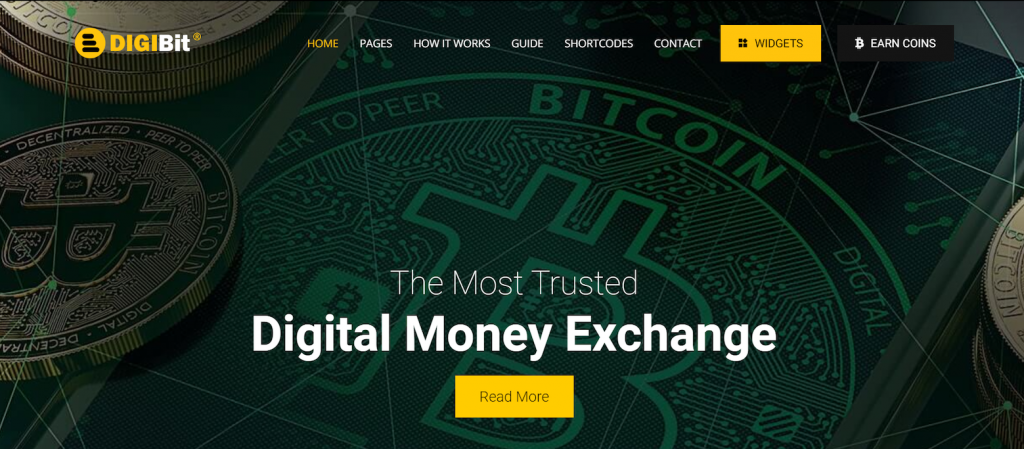 The preview page of DigiBit, a WordPress theme