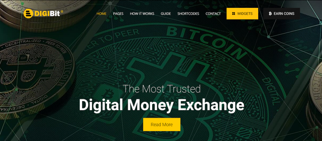 La page de prévisualisation de DigiBit, un thème WordPress