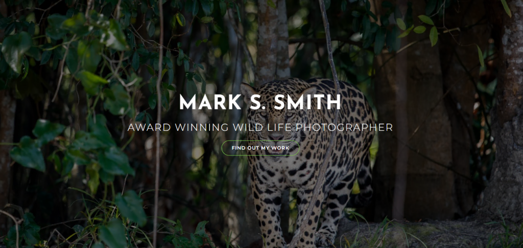 OceanWP, un thème WordPress de photographe