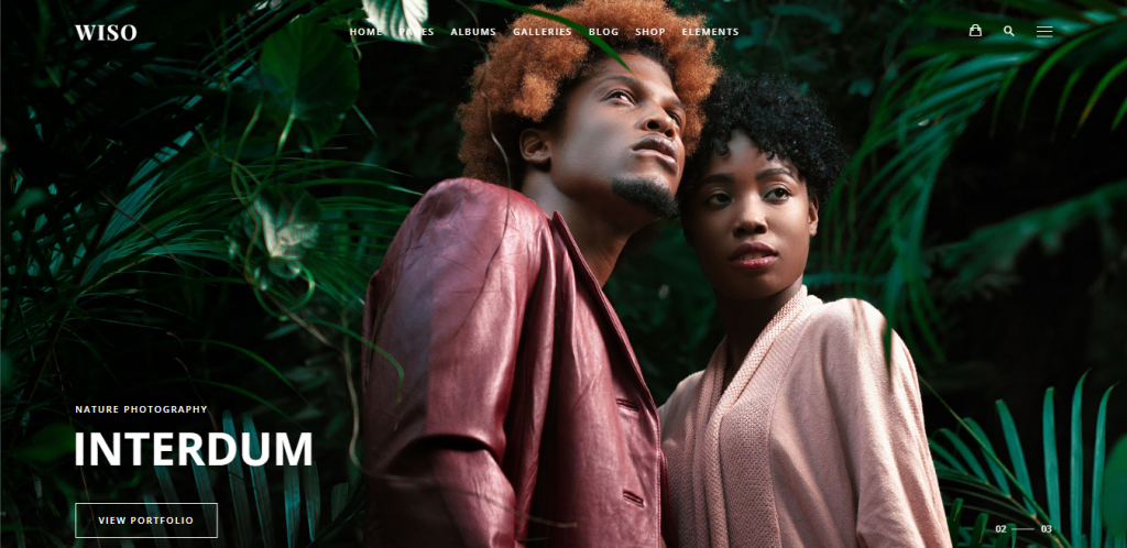 Thème WordPress Wiso pour photographe