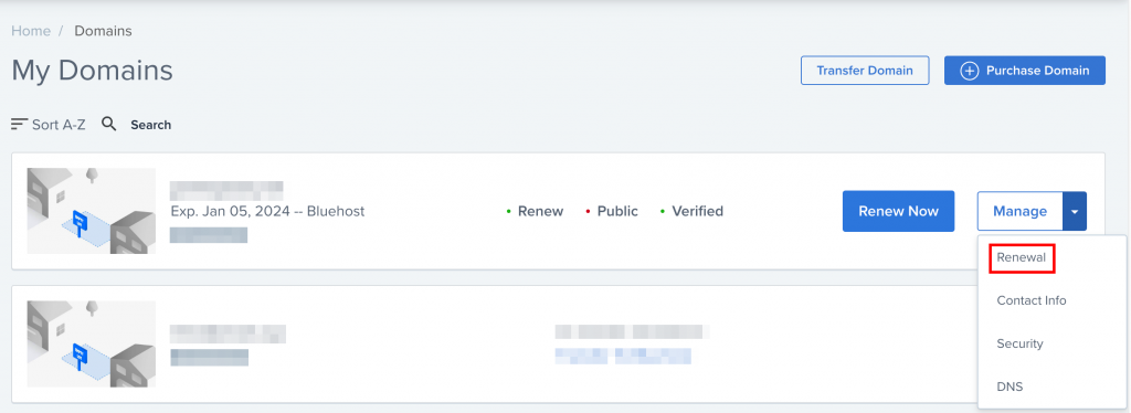 Manage renewal option for a Bluehost domain name
