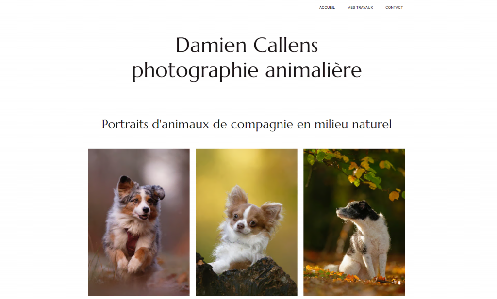 Page d'accueil du site photographe Damien Callens