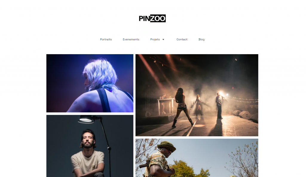 Page d'accueil du site Pinzoo