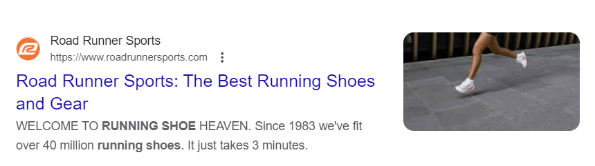 The metadata of Road Runner Sports on the SERPs